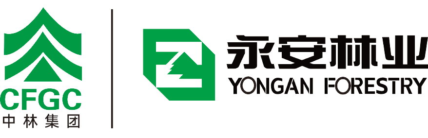 赢多多林业 Logo
