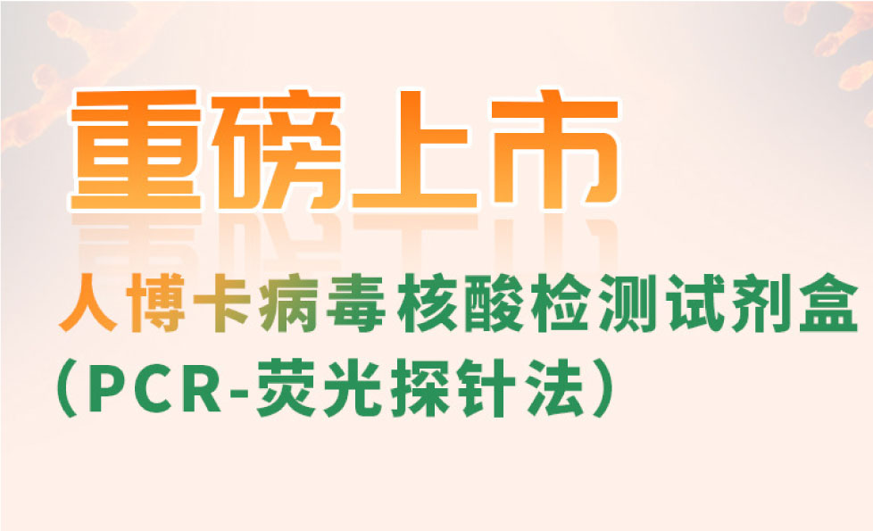 PP电子(中国集团)有限公司官网