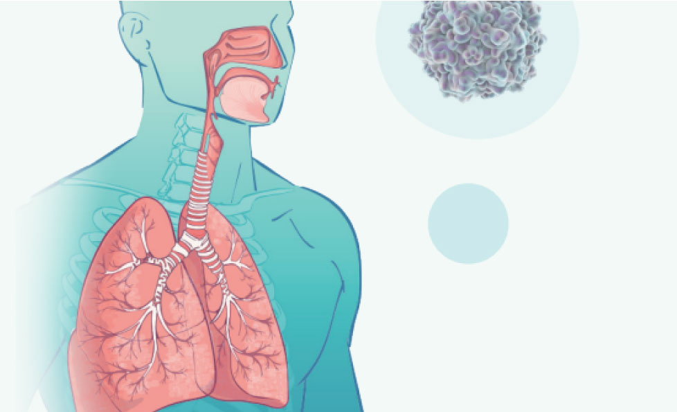 PP电子(中国集团)有限公司官网