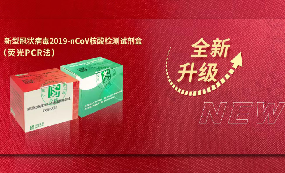 PP电子(中国集团)有限公司官网