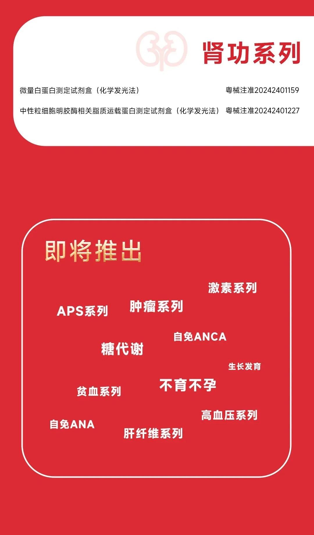 20241101103849915