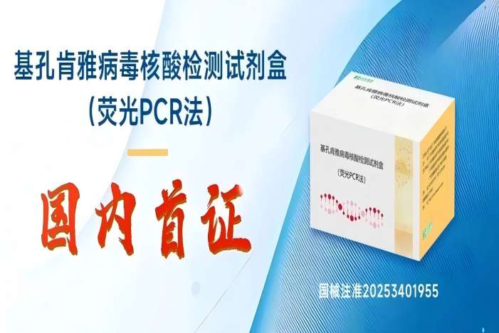 PP电子(中国集团)有限公司官网